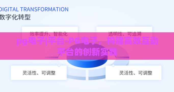 pg电子|平台-PG电子，构建高效互动平台的创新实践
