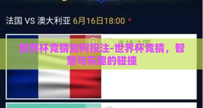 世界杯竞猜如何投注-世界杯竞猜，智慧与乐趣的碰撞