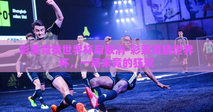 彩票竞猜世界杯后取消-彩票竞猜世界杯，一场未竟的狂欢