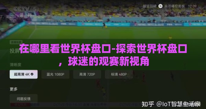 在哪里看世界杯盘口-探索世界杯盘口，球迷的观赛新视角