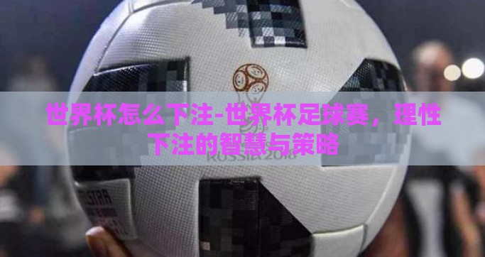 世界杯怎么下注-世界杯足球赛，理性下注的智慧与策略