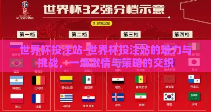 世界杯投注站-世界杯投注站的魅力与挑战，一场激情与策略的交织