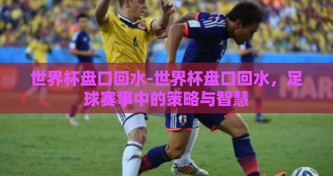 世界杯盘口回水-世界杯盘口回水，足球赛事中的策略与智慧
