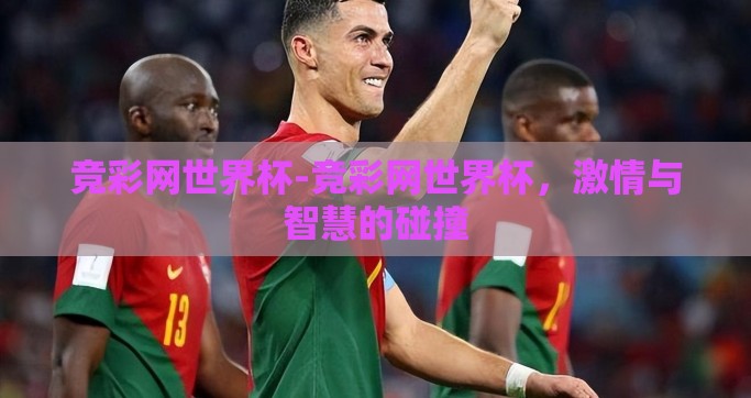 竞彩网世界杯-竞彩网世界杯，激情与智慧的碰撞