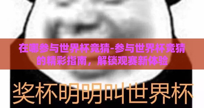 在哪参与世界杯竞猜-参与世界杯竞猜的精彩指南，解锁观赛新体验