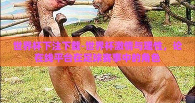 世界杯下注下载-世界杯激情与理性，论在线平台在足球赛事中的角色