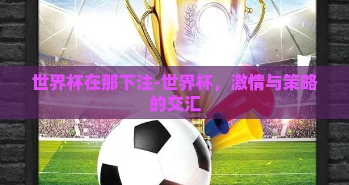 世界杯在那下注-世界杯，激情与策略的交汇