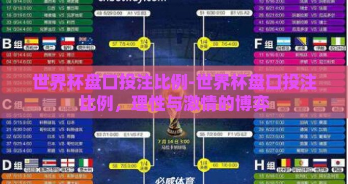 世界杯盘口投注比例-世界杯盘口投注比例，理性与激情的博弈