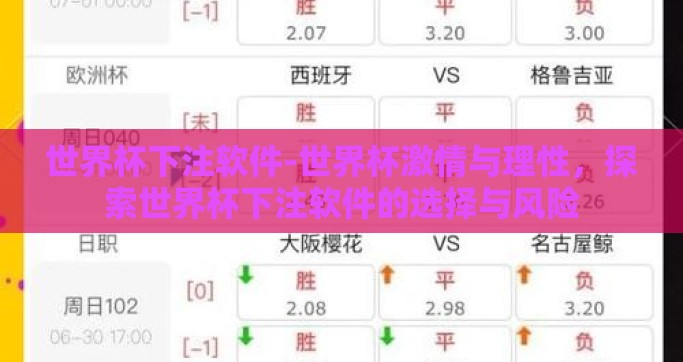 世界杯下注软件-世界杯激情与理性，探索世界杯下注软件的选择与风险