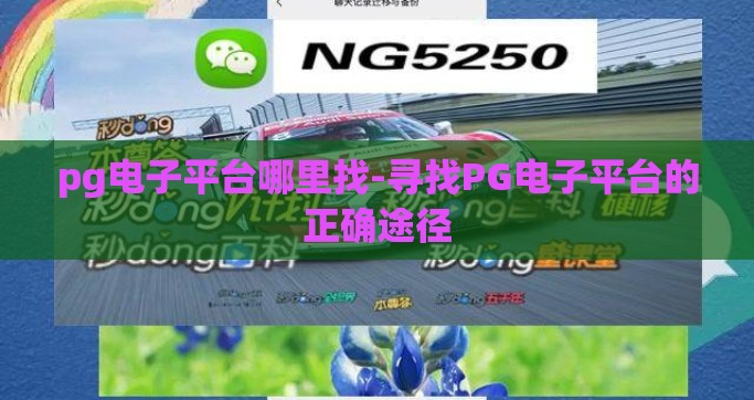 pg电子平台哪里找-寻找PG电子平台的正确途径