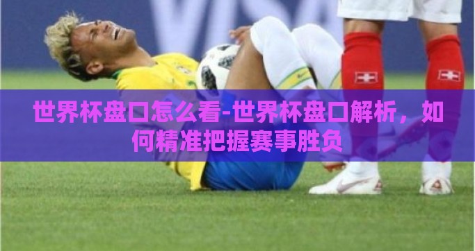 世界杯盘口怎么看-世界杯盘口解析，如何精准把握赛事胜负