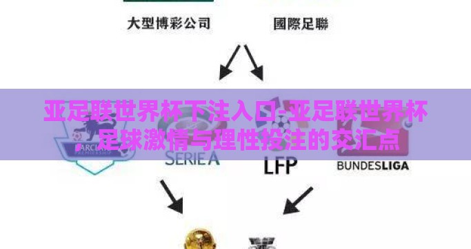 亚足联世界杯下注入口-亚足联世界杯，足球激情与理性投注的交汇点