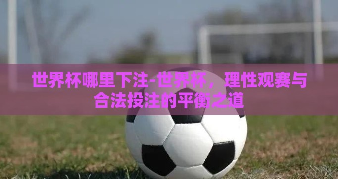 世界杯哪里下注-世界杯，理性观赛与合法投注的平衡之道