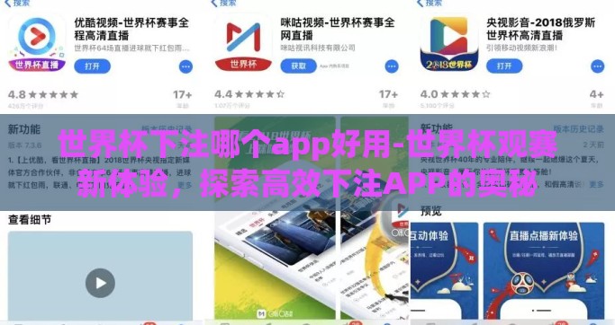 世界杯下注哪个app好用-世界杯观赛新体验，探索高效下注APP的奥秘