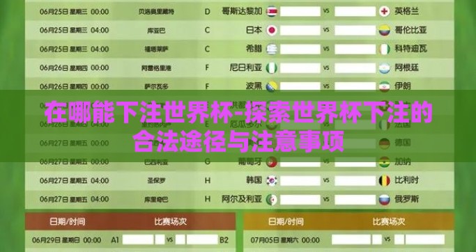 在哪能下注世界杯-探索世界杯下注的合法途径与注意事项