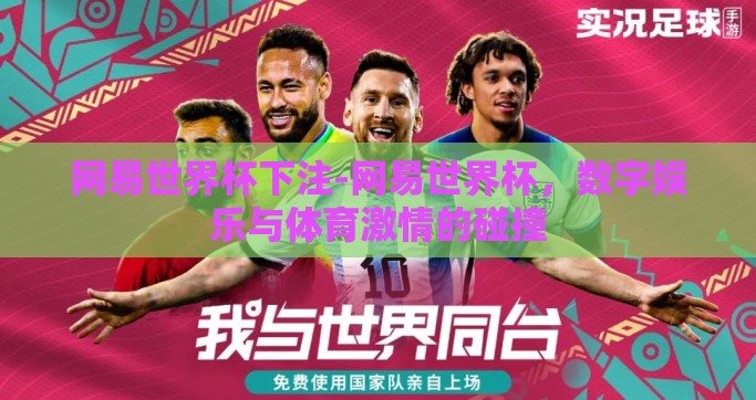 网易世界杯下注-网易世界杯，数字娱乐与体育激情的碰撞