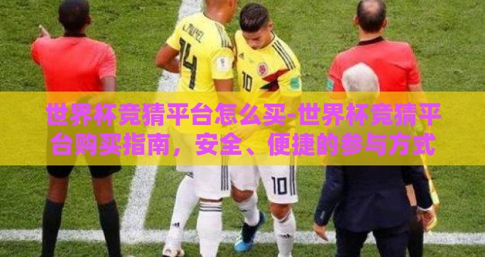 世界杯竞猜平台怎么买-世界杯竞猜平台购买指南，安全、便捷的参与方式