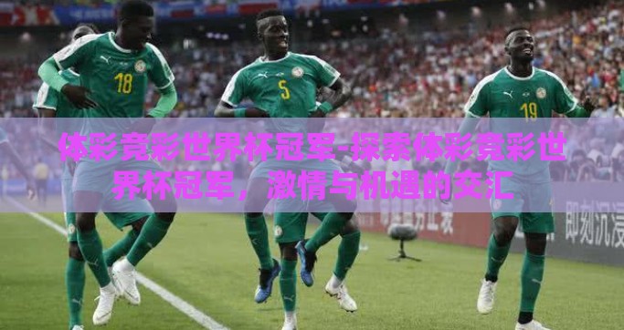 体彩竞彩世界杯冠军-探索体彩竞彩世界杯冠军，激情与机遇的交汇