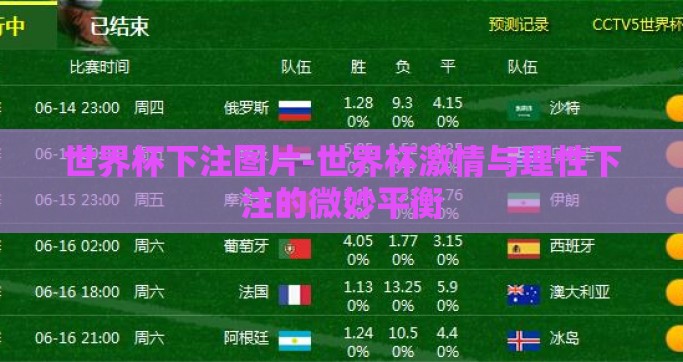 世界杯下注图片-世界杯激情与理性下注的微妙平衡
