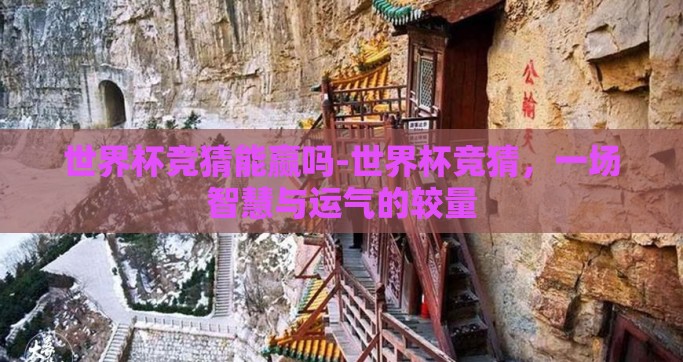 世界杯竞猜能赢吗-世界杯竞猜，一场智慧与运气的较量