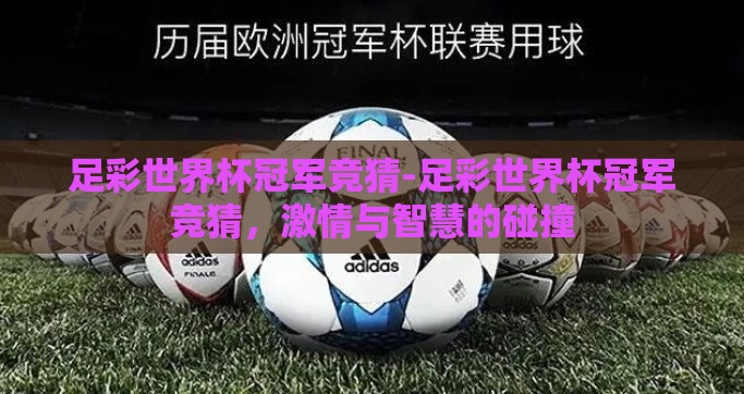 足彩世界杯冠军竞猜-足彩世界杯冠军竞猜，激情与智慧的碰撞