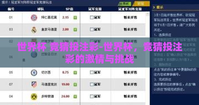 世界杯 竞猜投注彩-世界杯，竞猜投注彩的激情与挑战