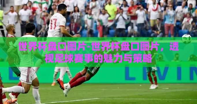 世界杯盘口图片-世界杯盘口图片，透视足球赛事的魅力与策略