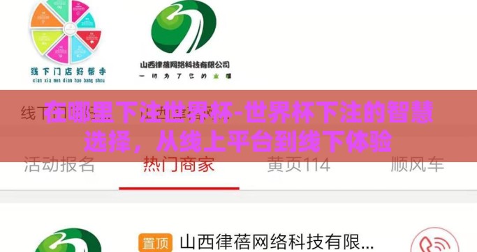 在哪里下注世界杯-世界杯下注的智慧选择，从线上平台到线下体验