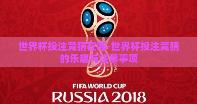 世界杯投注竞猜在哪-世界杯投注竞猜的乐趣与注意事项