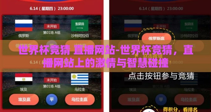 世界杯竞猜 直播网站-世界杯竞猜，直播网站上的激情与智慧碰撞